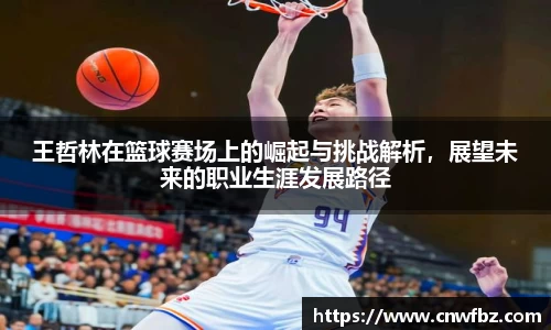 王哲林在篮球赛场上的崛起与挑战解析,展望未来的职业生涯发展路径